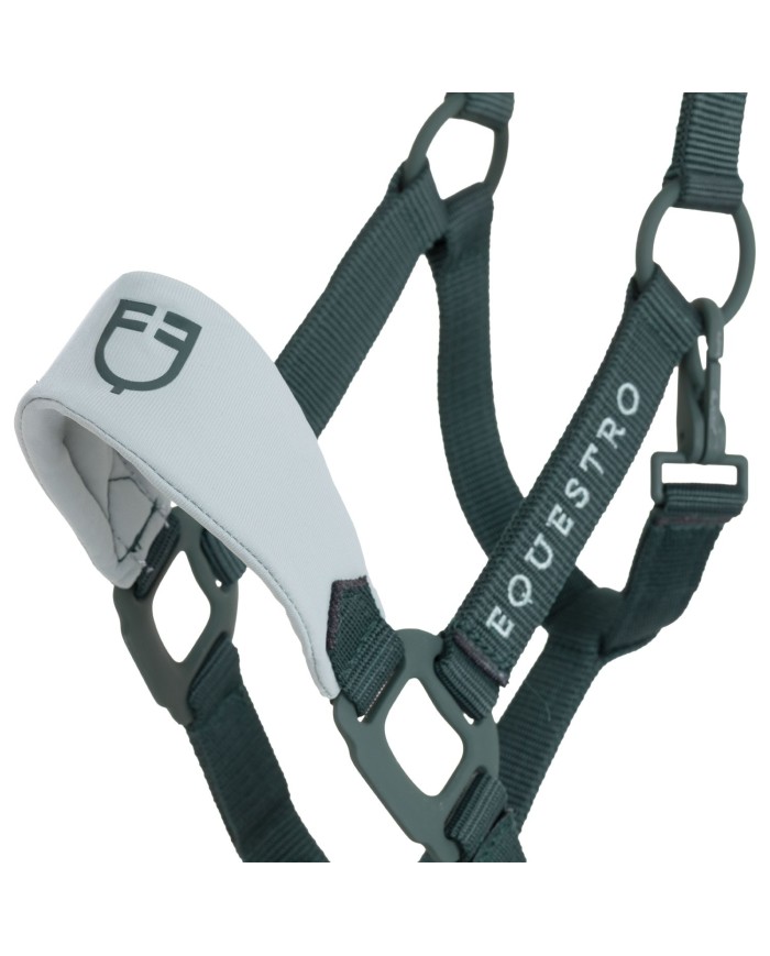 HIGH PERFORMANCE HALTER RUBBER FINISH BUCKLES W/LEADROPE