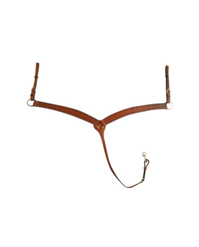 PETTORALE POOL'S LAVORAZIONE BARBWIRE PETTORALE POOL'S LAVORAZIONE BARBWIRE