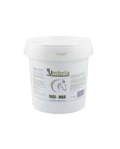 ENZI MAX (4 KG) ENZI MAX (4 KG)