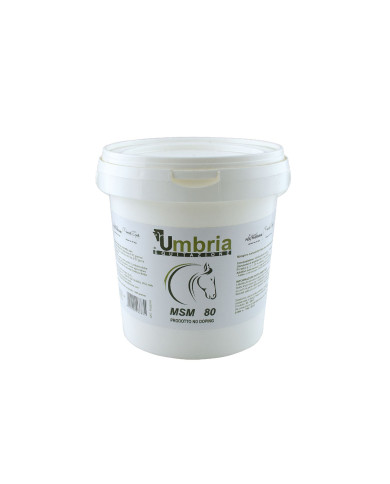 MSM (1.2 KG) MSM (1.2 KG)