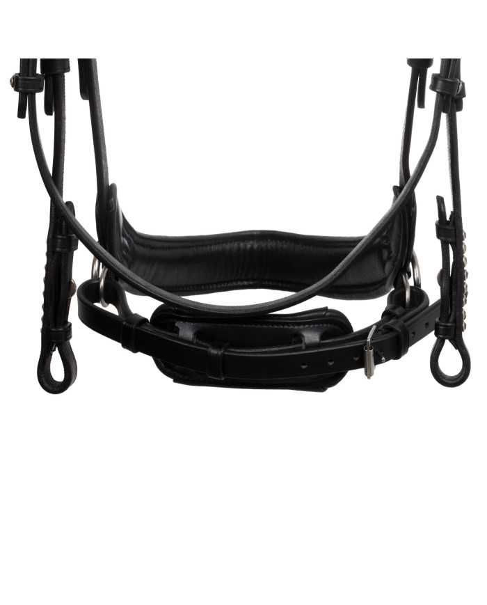 SUNSET BITLESS NOSEBAND SOFT ANATOMIC LEATHER BRIDLE