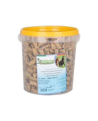 BISCOTTI LE BONTA' ERBA MEDICA (2,5 KG)