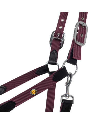 CAVEZZA ERGONOMICA CON INSERTI IN CUOIO CAVEZZA ERGONOMICA CON INSERTI IN CUOIO