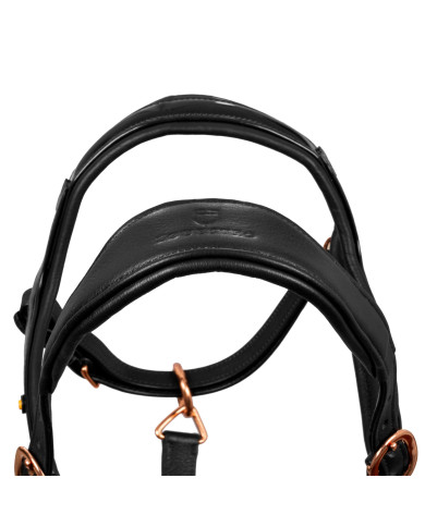 Cavezza cuoio lucido fibbie rose gold Cavezza cuoio lucido fibbie rose gold