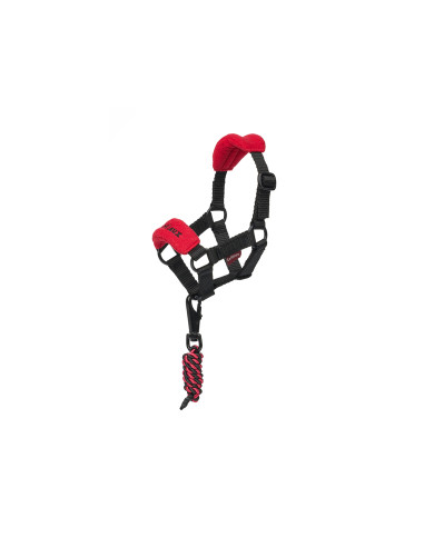 TOY PONY VOGUE HEADCOLLAR CHILLI TOY PONY VOGUE HEADCOLLAR CHILLI
