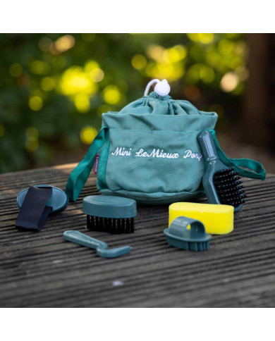 TOY PONY GROOMING KIT SAGE TOY PONY GROOMING KIT SAGE