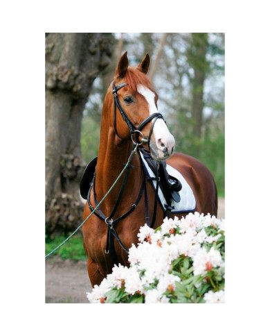 BREASTPLATE SIDE FIT WITH RUNNING ATTACHMENT BREASTPLATE SIDE FIT WITH RUNNING ATTACHMENT