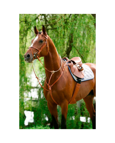 BREASTPLATE WITH RUNNING ATTACHMENT BREASTPLATE WITH RUNNING ATTACHMENT