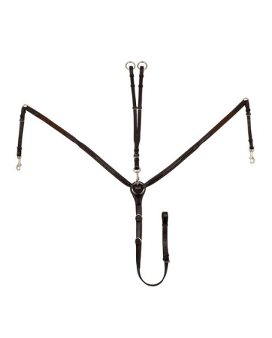 Pettorale con decorazioni contrasto Pettorale con decorazioni contrasto