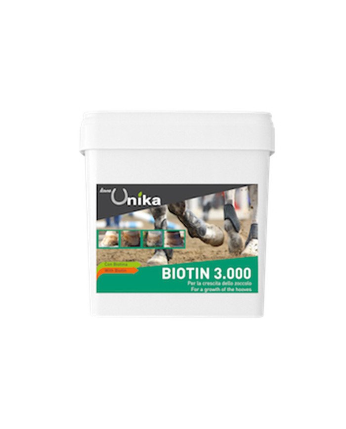 BIOTIN PRO 3.000 (2 KG)