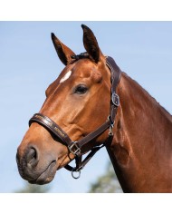 LEATHER HALTER W/ERGONOMIC POLLGUARD - CALFSKIN LINING