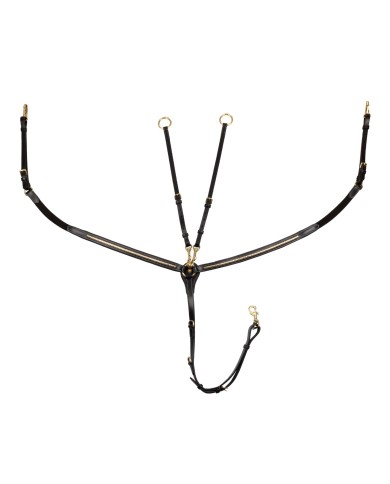 PETTORALE BRASS CLINCHER NEW