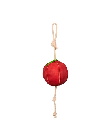 HORSE TOY APPLE