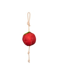HORSE TOY APPLE