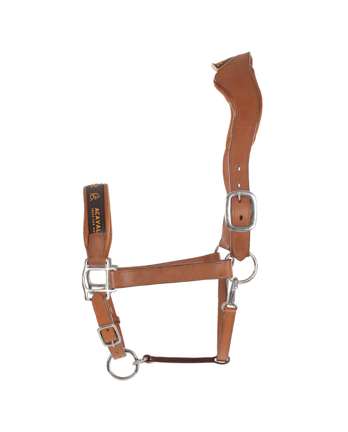 LEATHER HALTER W/ERGONOMIC POLLGUARD - CALFSKIN LINING