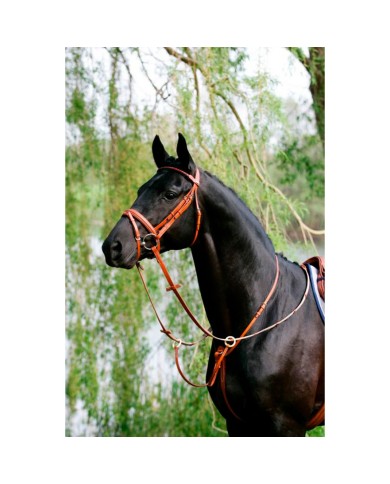 Ringmartingal