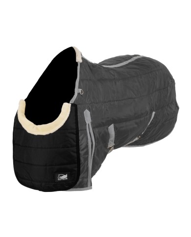 CHEST PROTECTION