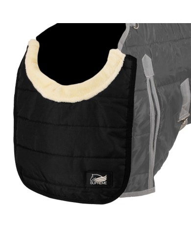 CHEST PROTECTION