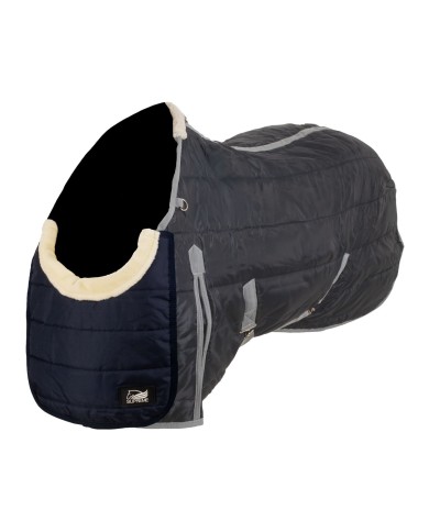 CHEST PROTECTION