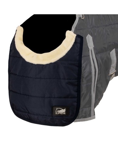 CHEST PROTECTION