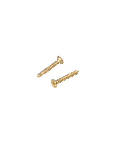 SOLID BRASS HORSE HEAD HOOK