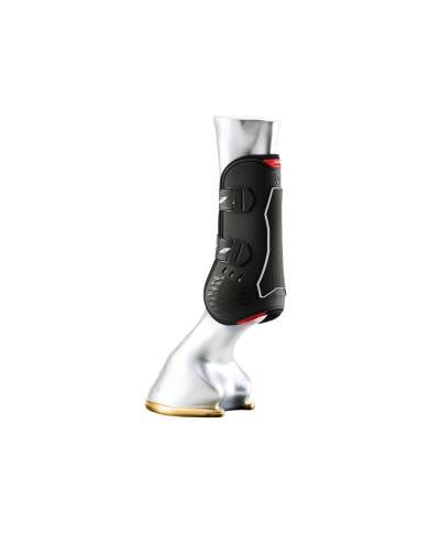 PARATENDINI CARBON AIR