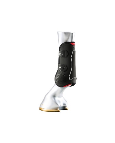 PARATENDINI CARBON AIR BALANCE