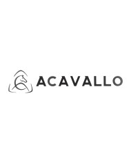 LOGO ESTESO ACAVALLO PRESPAZIATO DA MURO h 20cm