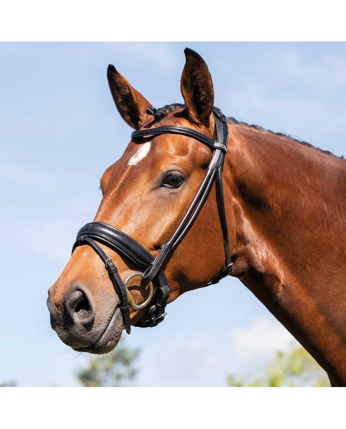 FORNARINA ROLLED LEATHER BRIDLE