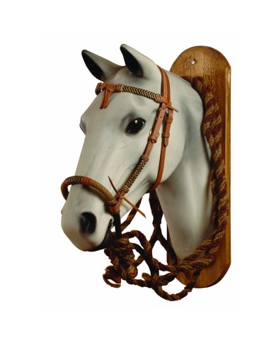 SET BOSAL + MECATE CRINE + TESTIERA RAWHIDE POOL S