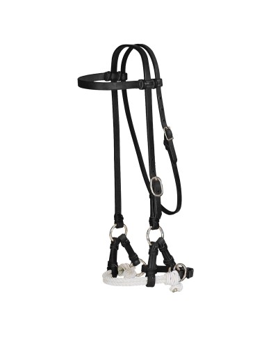 SIDE PULL DOPPIO RAWHIDE POOL S