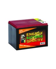 BATTERIA 10000H