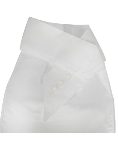 PLASTRON EQUESTRO MODELLO HONEY