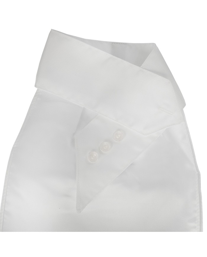 PLASTRON EQUESTRO MODELLO HONEY
