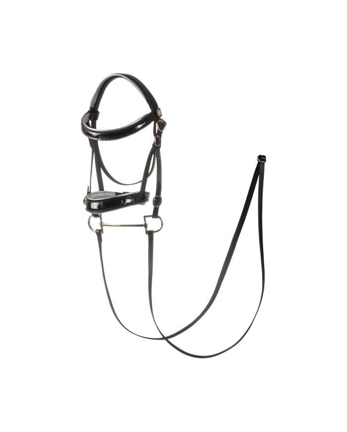 HOBBY HORSE BRIDLE