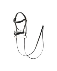 HOBBY HORSE BRIDLE