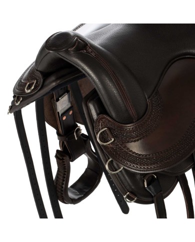 FREEFORM SCOUT EXTREME SB