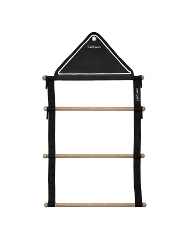 SHOW RUG HANGING RACK BLACK