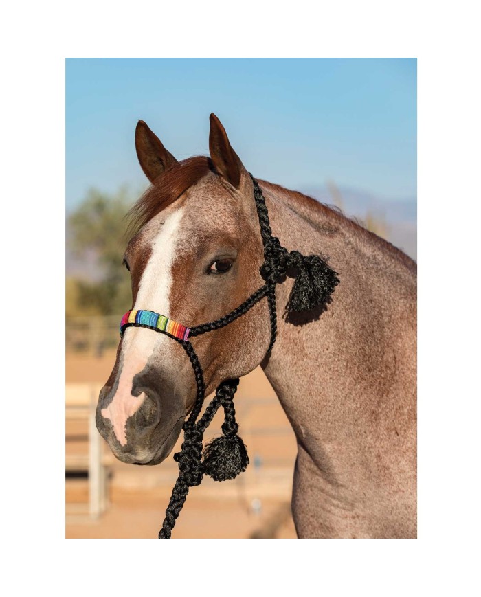 COWBOY BRAIDED HALTER