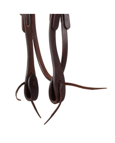 WESTERN FUTURITY BRIDLE
