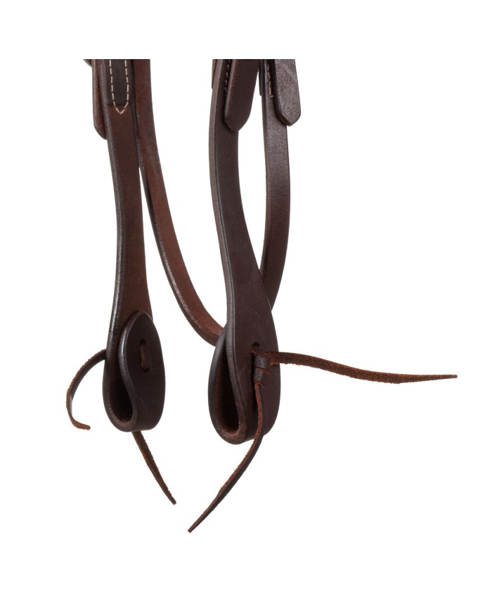 WESTERN FUTURITY BRIDLE