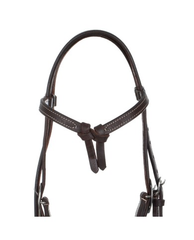 WESTERN FUTURITY BRIDLE
