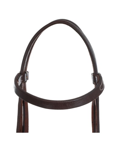 WESTERN FANCY GERMAN SILVER BUCKELS BRIDLE