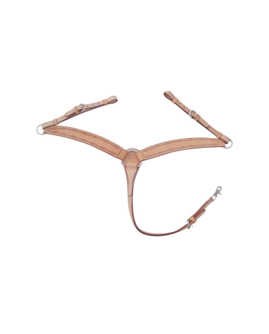 PETTORALE BARBWIRE POOL S
