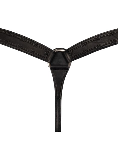 PETTORALE BARBWIRE POOL S