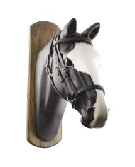 TESTIERA BIOTHANE HORSE BALL C/REDINI