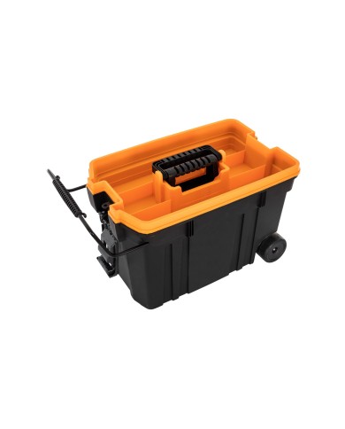 BAULE TROLLEY 2 RUOTE MEDIO 610x375x415