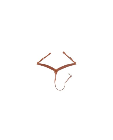 PETTORALE BORDER STAMP POOL S