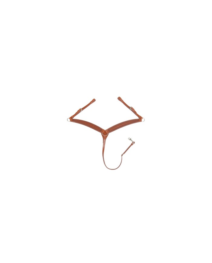 PETTORALE BORDER STAMP POOL S