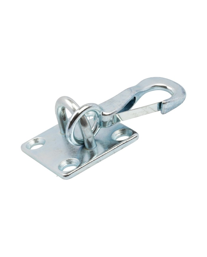 SPRING SNAP HOOK ON WALL PLATE